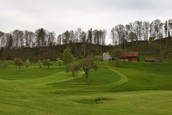 De Saint-Gall à Bernhardzell