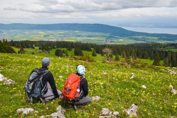 Berglandwirtschaft im Neuenburger Jura