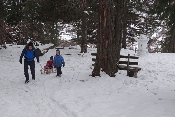 Attraverso i boschi innevati di Grächen