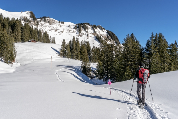 Bain de soleil devant l’ombre des Diablerets