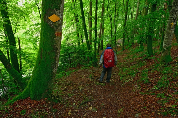 Lungo il selvaggio fiume Aubonne