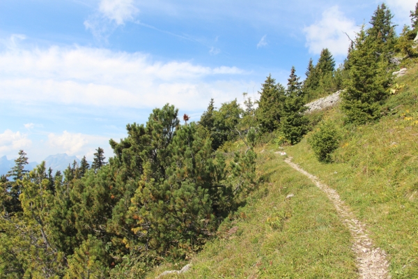 Au soleil au-dessus de la vallée du Rhône