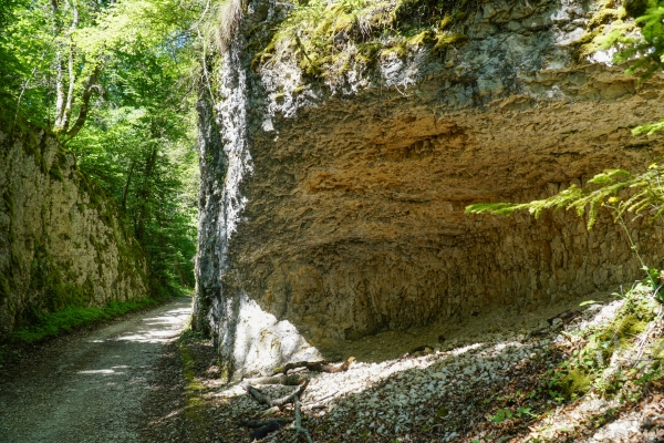 Le long de l’Allaine