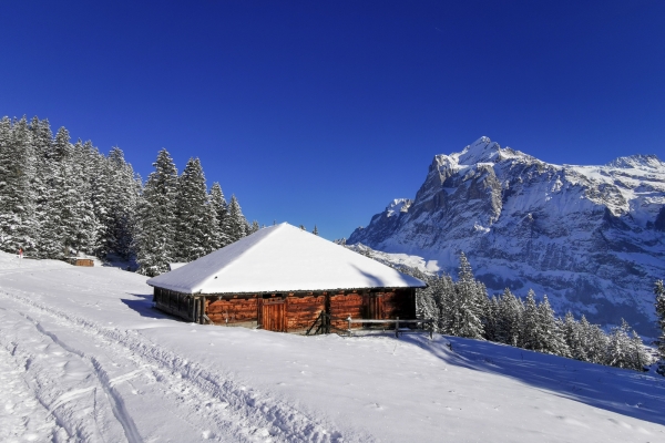 Le versant ensoleillé de Grindelwald