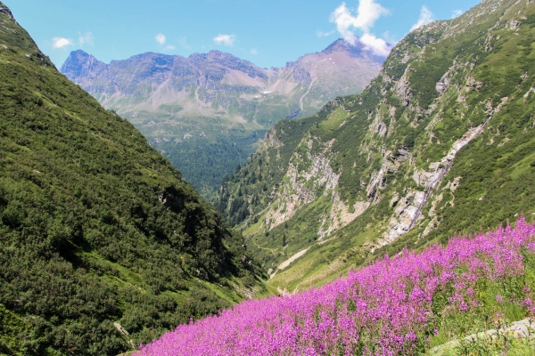 Calancatal: wilde, einsame Schönheit