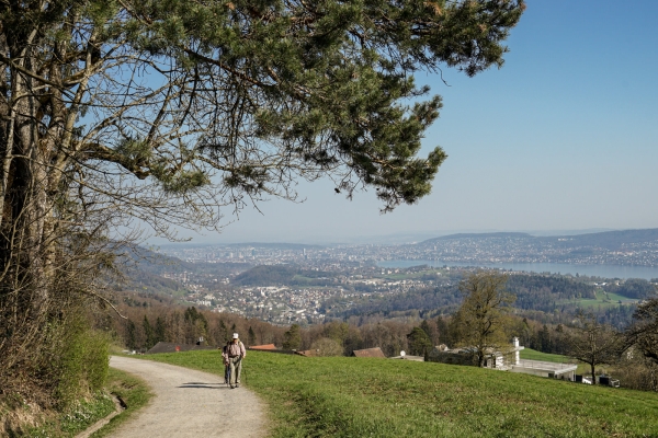 Là où Zurich touche la Suisse centrale