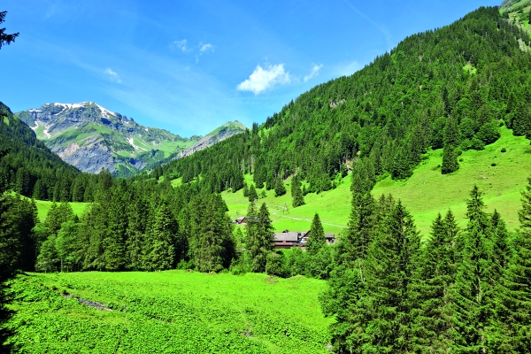 Alpenweg im Weisstannental