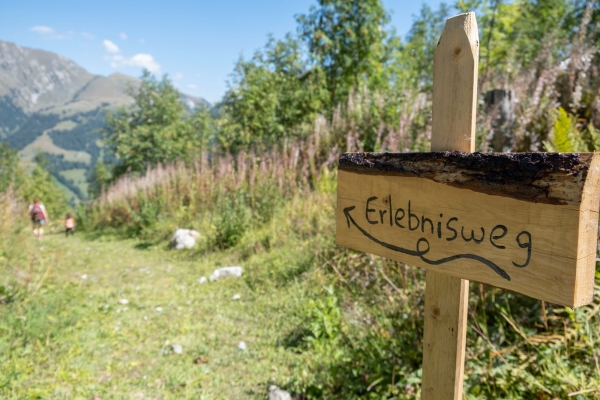 Trottiabfahrt mit Erlebnisweg