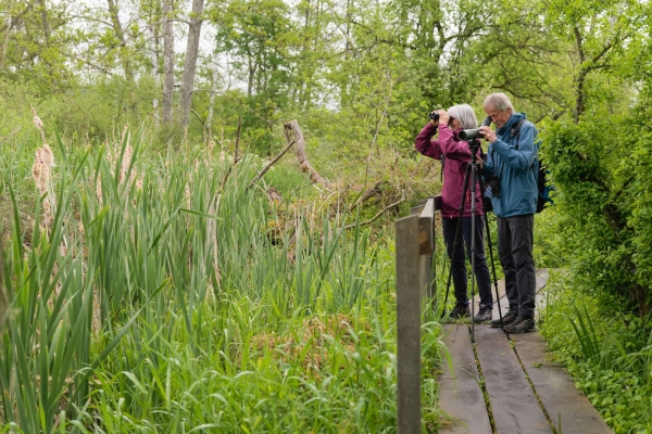 Renaturation au Seebachtal