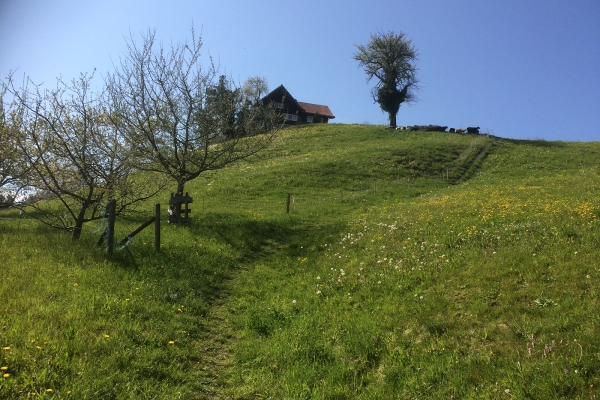 Par les collines du Vorderland appenzellois