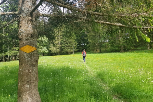 L’énergie dans le Jura bernois