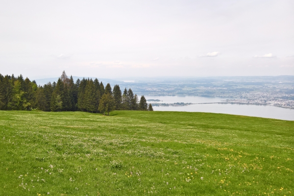 Alpages entre les lacs de Sihl et de Zurich