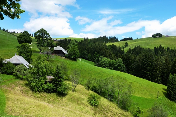 Echter Genuss im Emmental