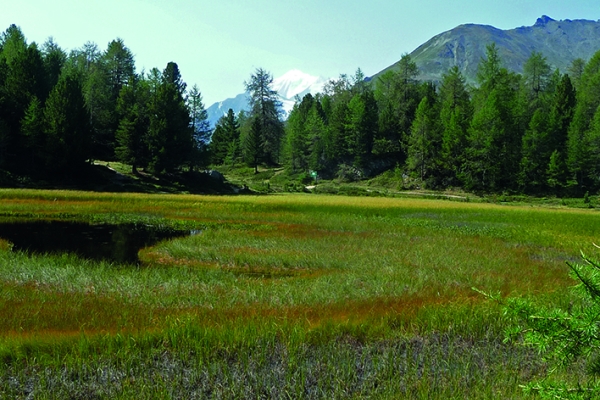 Bergpanorama pur auf der Moosalp