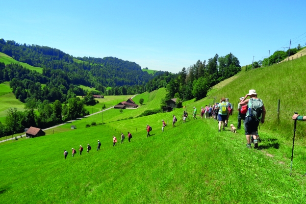 Bergauf und bergab im Neckertal