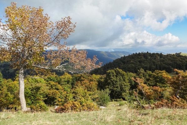 Ausflug auf den Mont-Sujet 