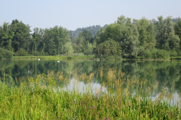 Auf dem Aargauer Weg