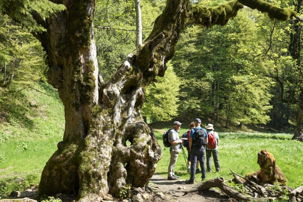 Durch die Combe Grède auf den Chasseral