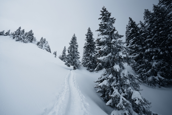 Hiver magique en haut du lac de Walenstadt