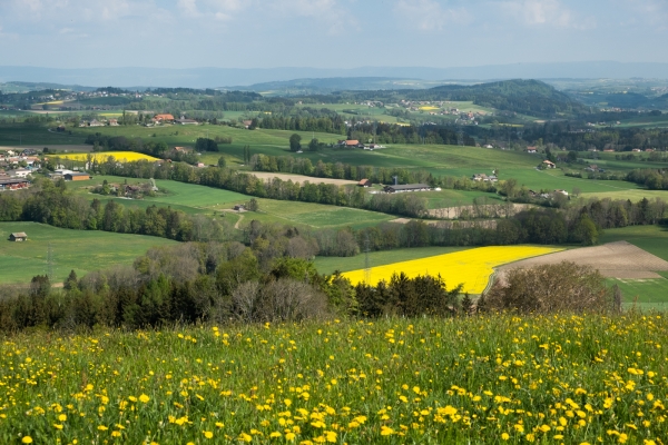 Du Plateau vaudois à Lavaux