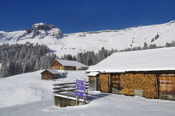 Le versant ensoleillé de Grindelwald