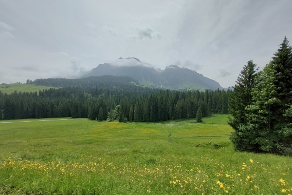 Zwischen Emmental und Berner Oberland