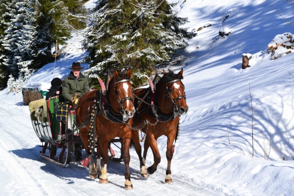 Winterzauber im Saanenland