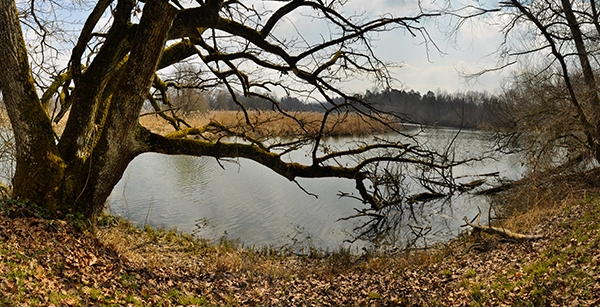 Winterliche Vogelsafari