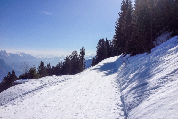 Bain de soleil face aux Churfirsten