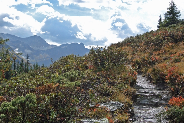 Auf dem Walserweg im Safiental