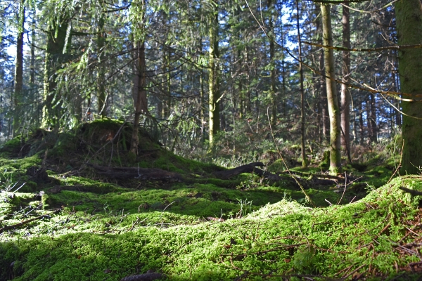 Les charmes de l’Entlebuch