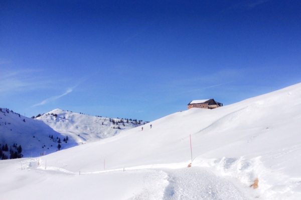 Verträumte Schneelandschaft