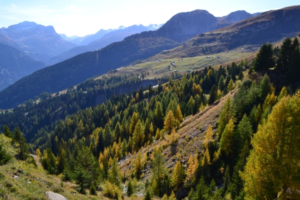 Dans le Parc naturel de Beverin