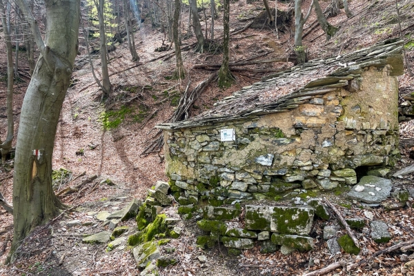 Den Frühling besuchen am Monte Generoso