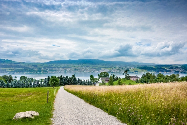 Auf dem Zürichsee-Rundweg