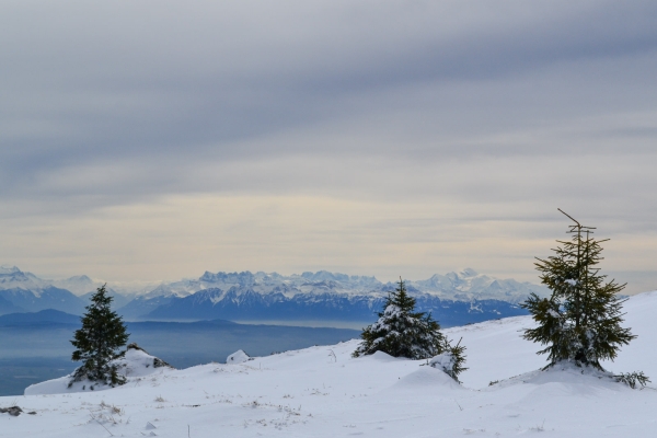 Randonnée en raquettes sur le Chasseron