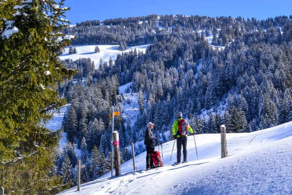 Face au Stockhorn BE