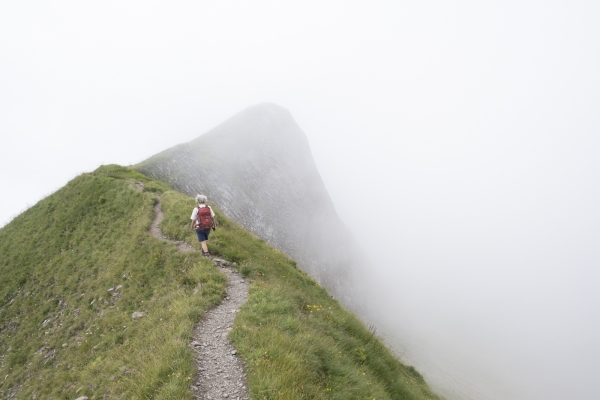 Fünf Bahnen, eine Wanderung