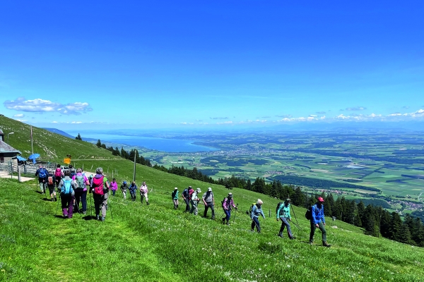 Auffahrtswanderungen im Jura