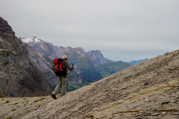 Entre pâturages verdoyants et roches grises