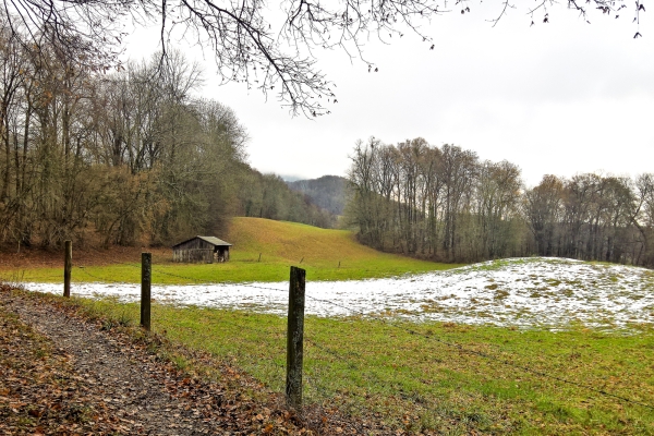 Von Attiswil nach Wangen an der Aare