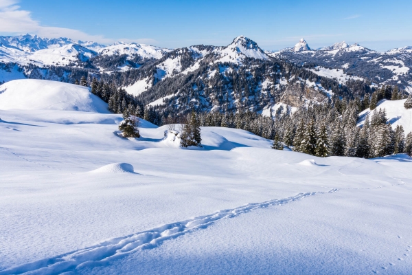 Hospitalité hivernale à Hoch Ybrig