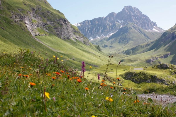 Randonnée en famille à Engelberg OW