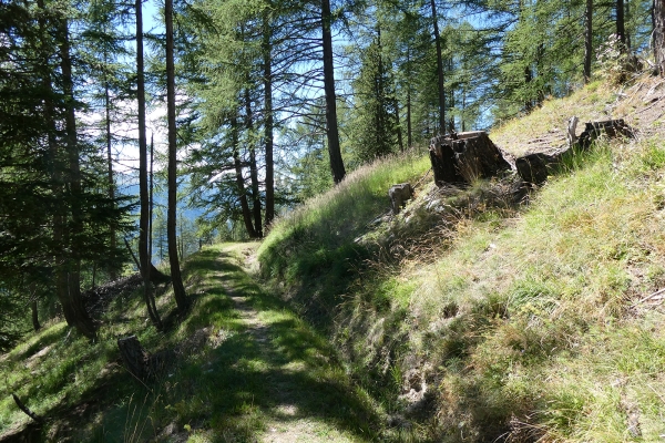 L’Illgraben vu d’en haut