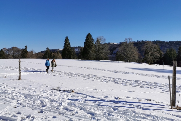 Weisses Weideland im Berner Jura