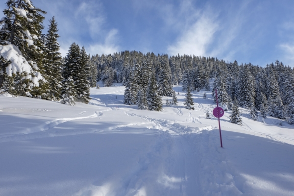 Les Alpes vaudoises en hiver