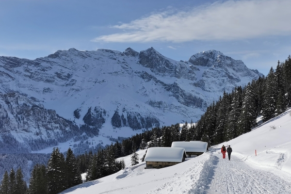 Wintersonne im Engelbergertal