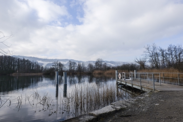 Winterruhe am Hallwilersee