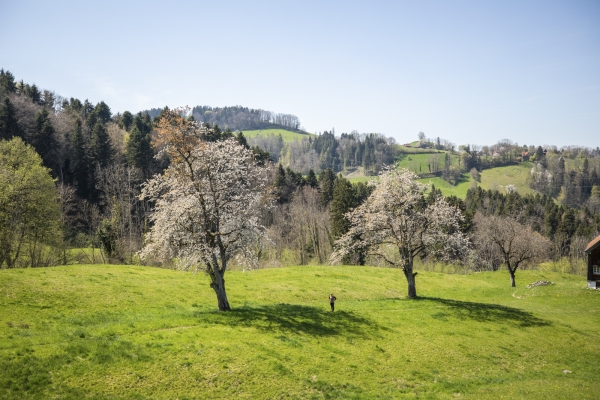 Unterwegs zwischen Bodensee und Säntis