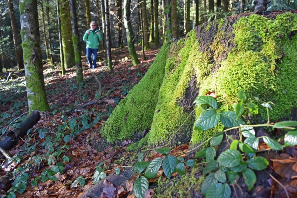 Was das Entlebuch hergibt